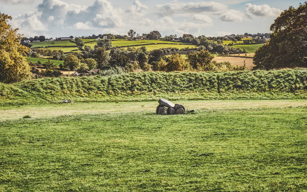 Fields and hedgerows in the Irish countryside