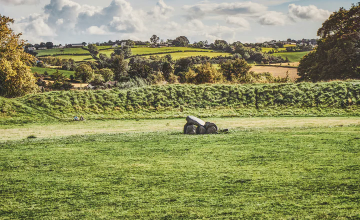 Fields and hedgerows in the Irish countryside; an illustrative landscape for paternal-line research.