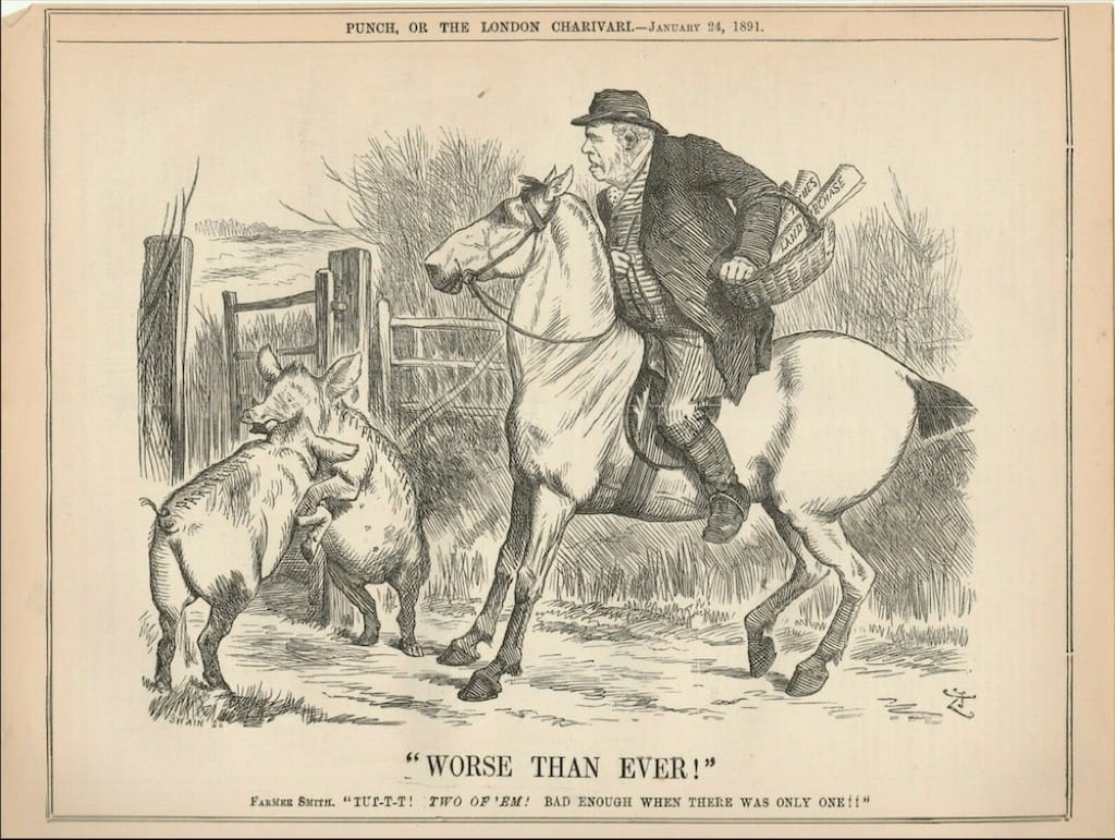 1891 Punch Cartoon Two Irish anti-Parnell-ite Land Purchase Pigs Worse then Ever