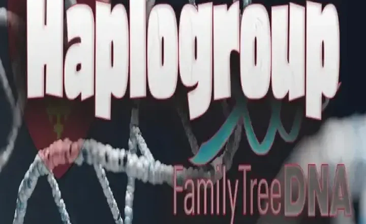 Haplogroup H1-C16239T