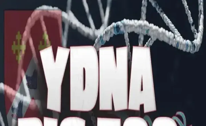 YDNA Big 700 Matches