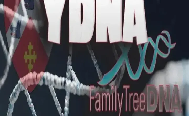 YDNA