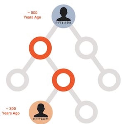 haplogroup_tree