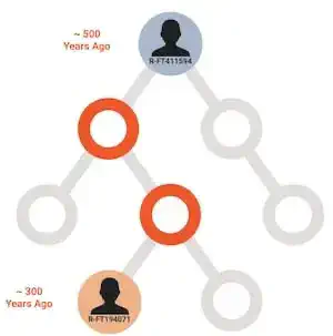 haplogroup_tree