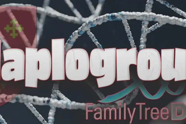 Haplogroup H1-C16239T