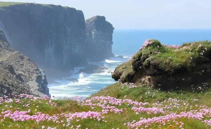 Mary McManus