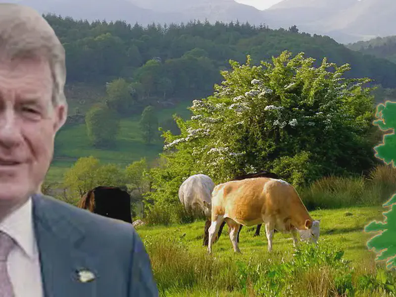 JP McManus