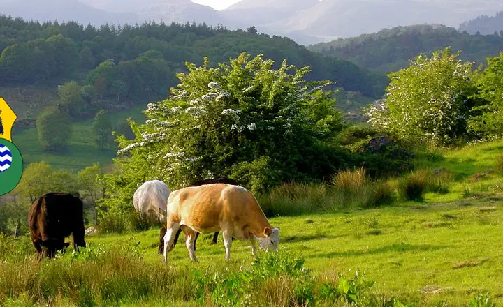 Leitrim McManus