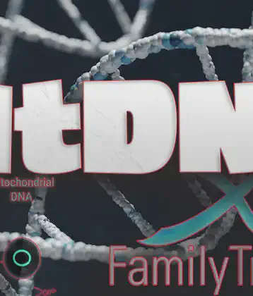 /images/page/mtdna.webp