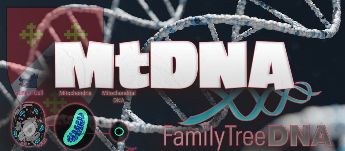 MtDNA