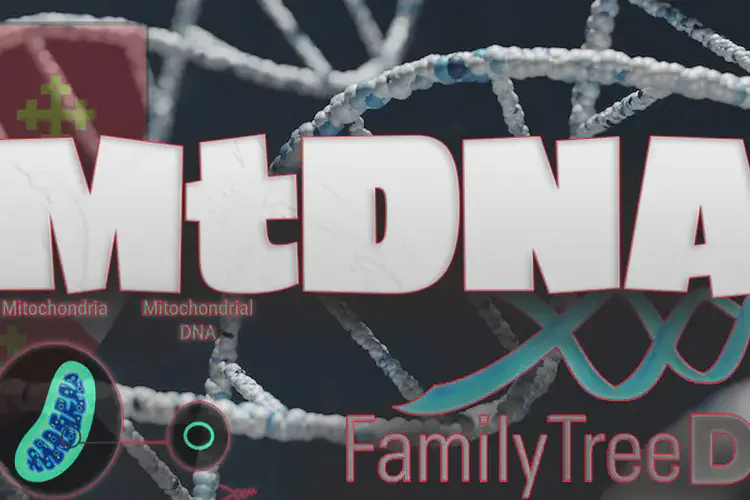 MtDNA