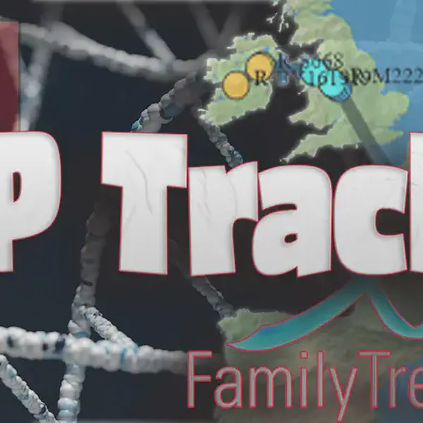 SNP Tracker