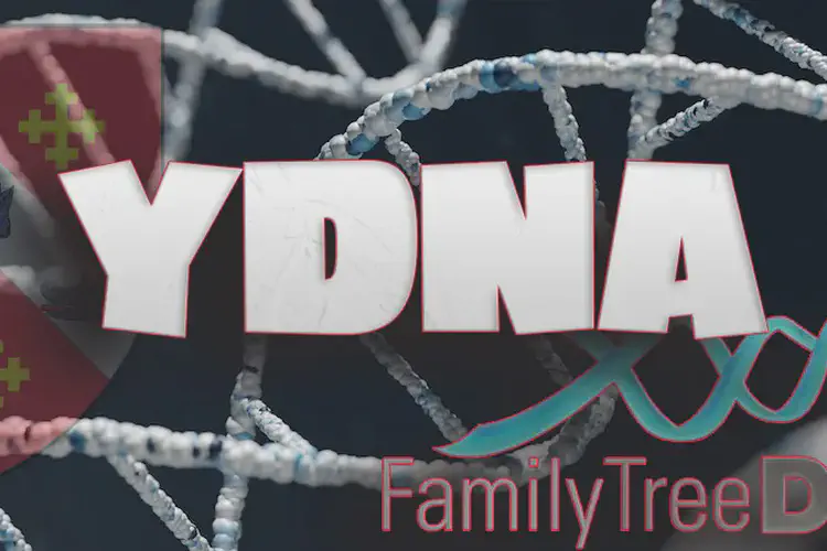 YDNA