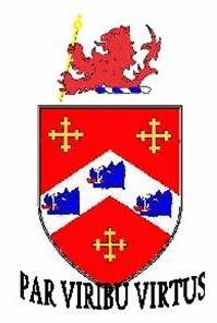 McManus arms illustration reproduced in the archived heraldry essay